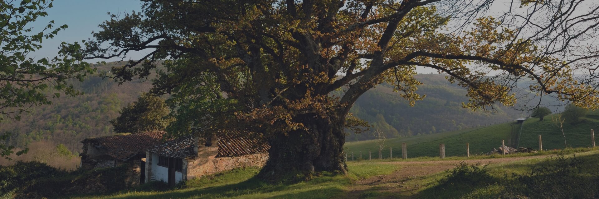 https://www.compromisocrasturias.com//resources/slider/memoria-caja-rural-de-asturias-2023-2.jpg